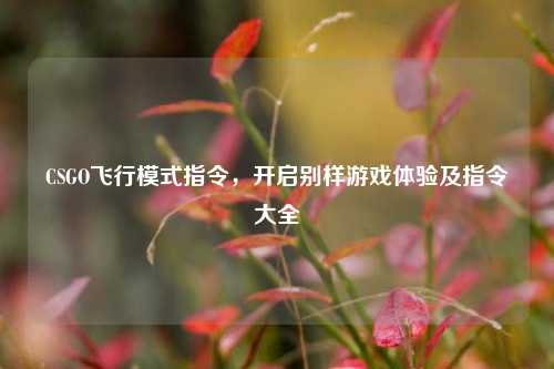 CSGO飞行模式指令，开启别样游戏体验及指令大全