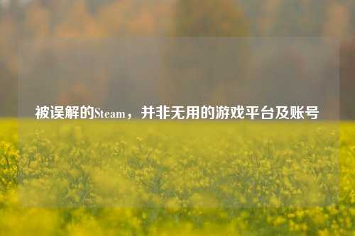 被误解的Steam，并非无用的游戏平台及账号