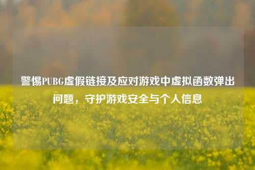警惕PUBG虚假链接及应对游戏中虚拟函数弹出问题，守护游戏安全与个人信息