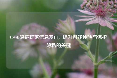 CSGO隐藏玩家信息及UI，提升游戏体验与保护隐私的关键