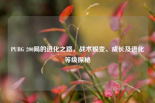 PUBG 200局的进化之路，战术蜕变、成长及进化等级探秘