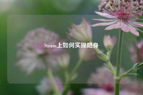 Steam上如何实现隐身