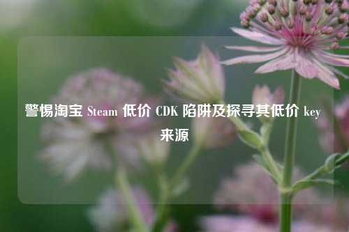 警惕淘宝 Steam 低价 CDK 陷阱及探寻其低价 key 来源