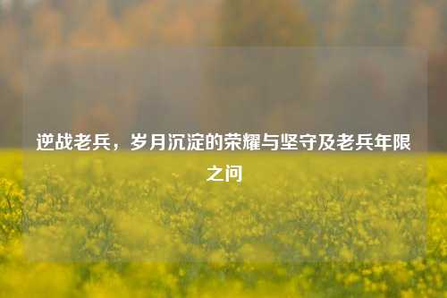 逆战老兵，岁月沉淀的荣耀与坚守及老兵年限之问