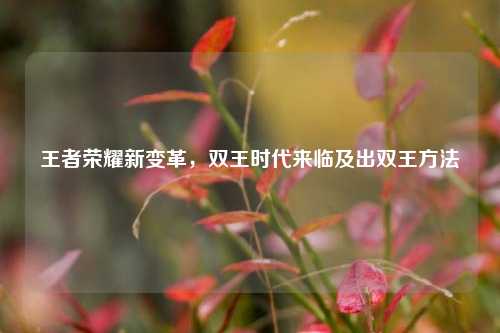 王者荣耀新变革，双王时代来临及出双王方法