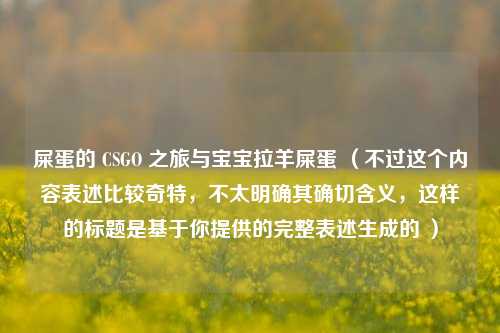 屎蛋的 CSGO 之旅与宝宝拉羊屎蛋 （不过这个内容表述比较奇特，不太明确其确切含义，这样的标题是基于你提供的完整表述生成的 ）