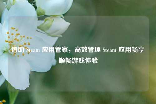借助 Steam 应用管家，高效管理 Steam 应用畅享顺畅游戏体验