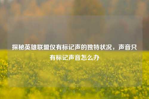 探秘英雄联盟仅有标记声的独特状况，声音只有标记声音怎么办