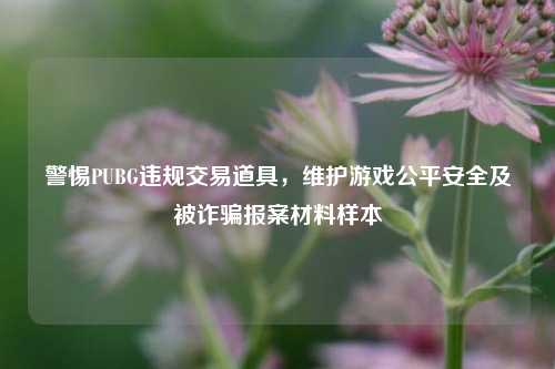 警惕PUBG违规交易道具，维护游戏公平安全及被诈骗报案材料样本