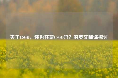 关于CSGO，你也在玩CSGO吗？的英文翻译探讨