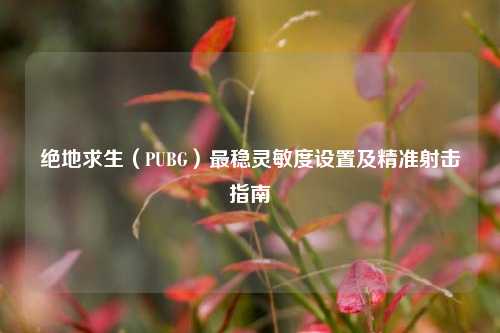 绝地求生（PUBG）最稳灵敏度设置及精准射击指南