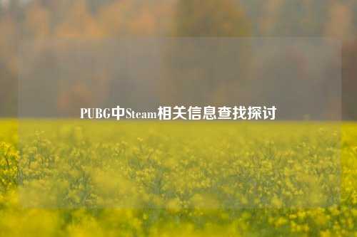 PUBG中Steam相关信息查找探讨