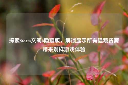 探索Steam文明6隐藏版，解锁显示所有隐藏资源带来别样游戏体验