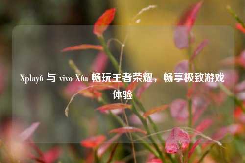 Xplay6 与 vivo X6a 畅玩王者荣耀，畅享极致游戏体验