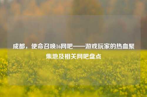成都，使命召唤16网吧——游戏玩家的热血聚集地及相关网吧盘点