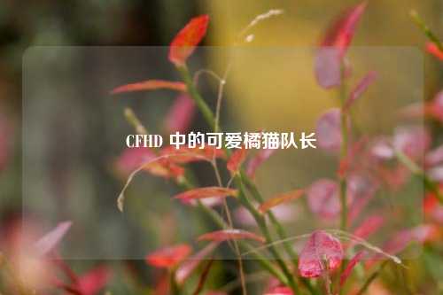 CFHD 中的可爱橘猫队长