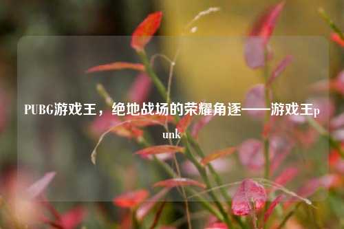 PUBG游戏王，绝地战场的荣耀角逐——游戏王punk