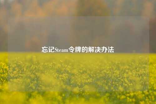 忘记Steam令牌的解决办法