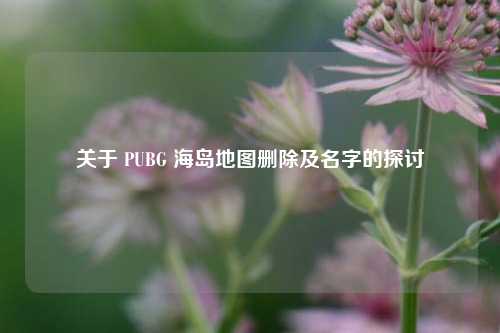 关于 PUBG 海岛地图删除及名字的探讨