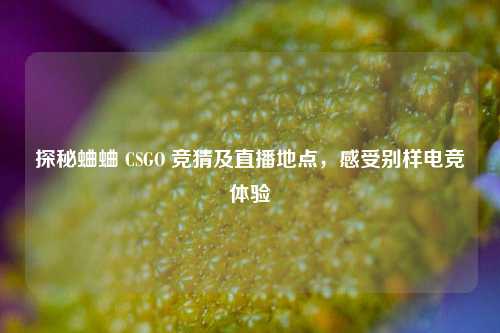 探秘蛐蛐 CSGO 竞猜及直播地点，感受别样电竞体验