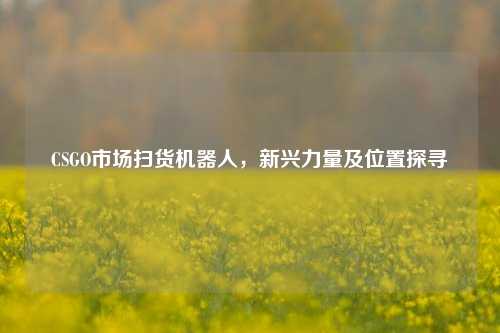 CSGO市场扫货机器人，新兴力量及位置探寻