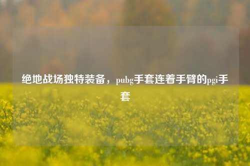 绝地战场独特装备，pubg手套连着手臂的pgi手套