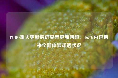 PUBG重大更新后仍显示更新问题，16.7G内容带来全新体验却遇状况