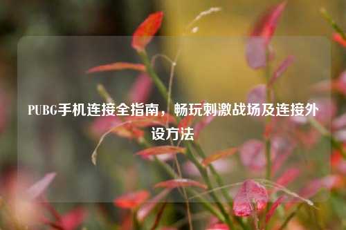 PUBG手机连接全指南，畅玩刺激战场及连接外设方法