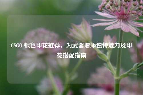 CSGO 银色印花推荐，为武器增添独特魅力及印花搭配指南