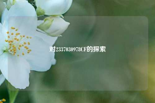 对2337030978CF的探索