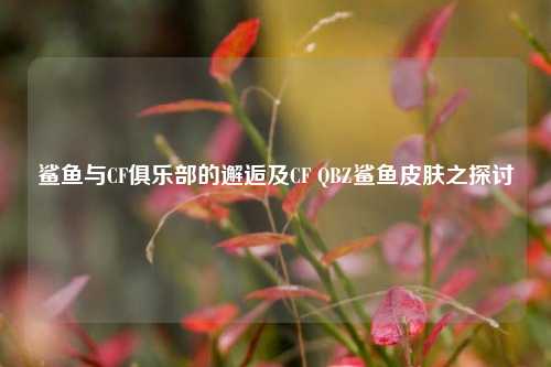 鲨鱼与CF俱乐部的邂逅及CF QBZ鲨鱼皮肤之探讨