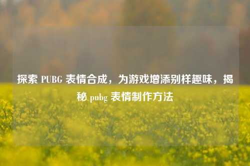探索 PUBG 表情合成，为游戏增添别样趣味，揭秘 pubg 表情制作方法