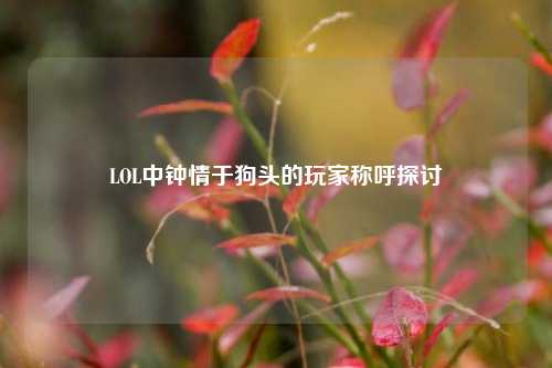LOL中钟情于狗头的玩家称呼探讨