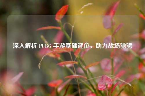 深入解析 PUBG 手游基础键位，助力战场驰骋