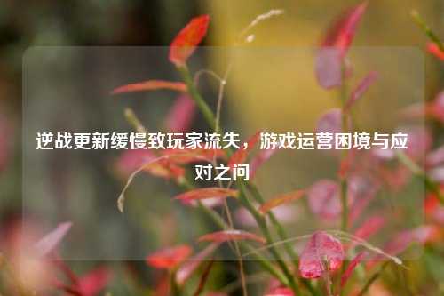 逆战更新缓慢致玩家流失,游戏运营困境与应对之问
