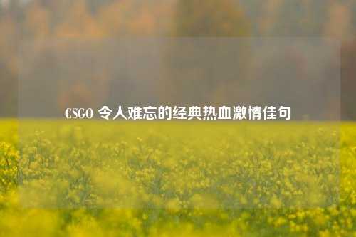 CSGO 令人难忘的经典热血激情佳句