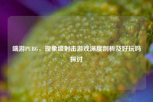 端游PUBG,现象级射击游戏深度剖析及好玩吗探讨