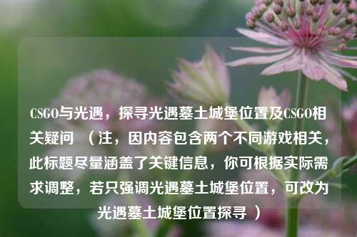 CSGO与光遇,探寻光遇墓土城堡位置及CSGO相关疑问 (注,因内容包含两个不同游戏相关,此标题尽量涵盖了关键信息,你可根据实际需求调整,若只强调光遇墓土城堡位置,可改为光遇墓土城堡位置探寻 )