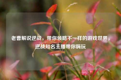 老曹解说逆战,带你领略不一样的游戏世界,逆战知名主播带你嗨玩