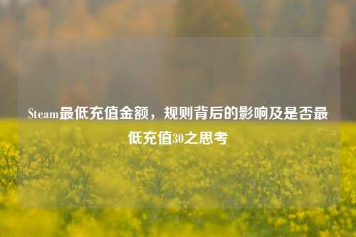 Steam最低充值金额，规则背后的影响及是否最低充值30之思考