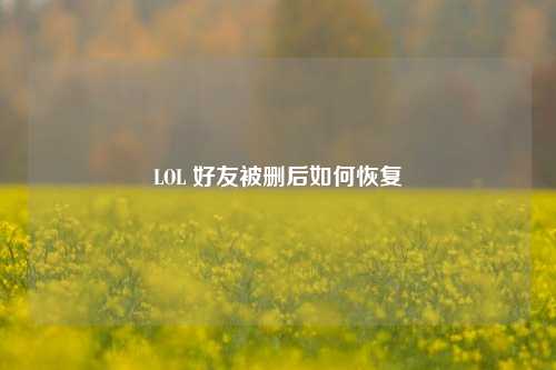 LOL 好友被删后如何恢复