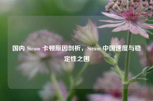 国内 Steam 卡顿原因剖析,Steam 中国速度与稳定性之困