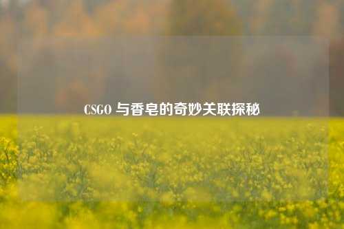 CSGO 与香皂的奇妙关联探秘