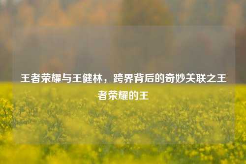 王者荣耀与王健林,跨界背后的奇妙关联之王者荣耀的王