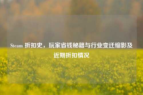 Steam 折扣史,玩家省钱秘籍与行业变迁缩影及近期折扣情况