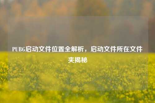 PUBG启动文件位置全解析,启动文件所在文件夹揭秘