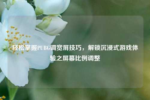轻松掌握PUBG调宽屏技巧,解锁沉浸式游戏体验之屏幕比例调整