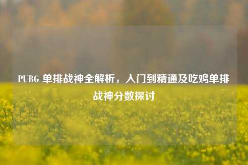 PUBG 单排战神全解析,入门到精通及吃鸡单排战神分数探讨