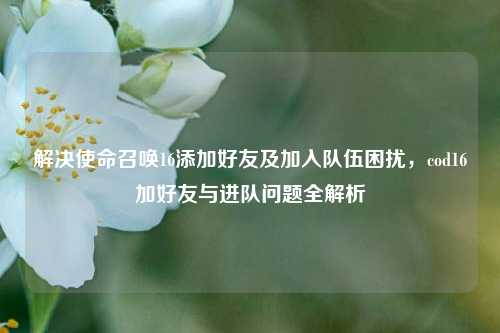 解决使命召唤16添加好友及加入队伍困扰，cod16加好友与进队问题全解析
