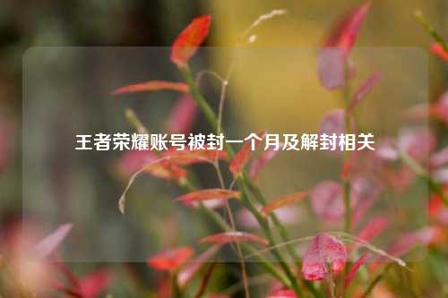 王者荣耀账号被封一个月及解封相关